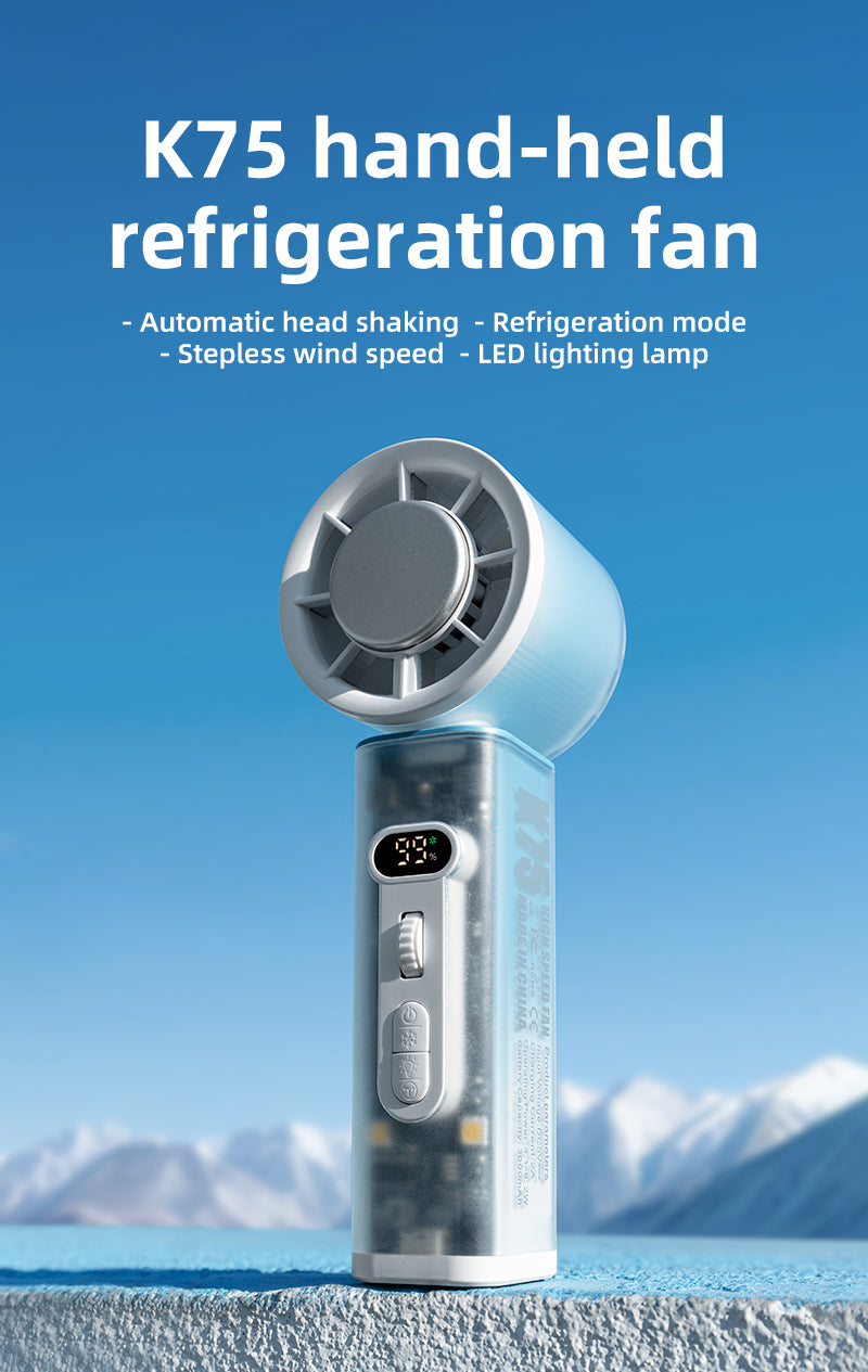 Oscillating Fan
