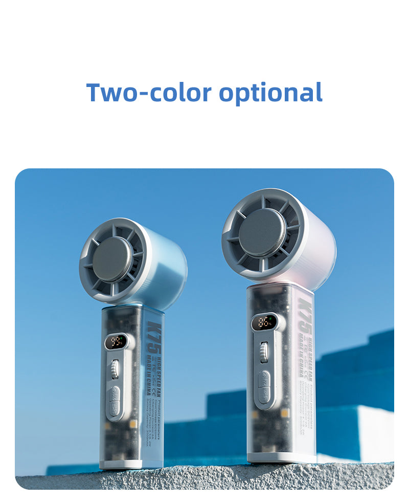 Oscillating Fan