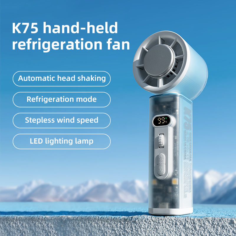 Oscillating Fan