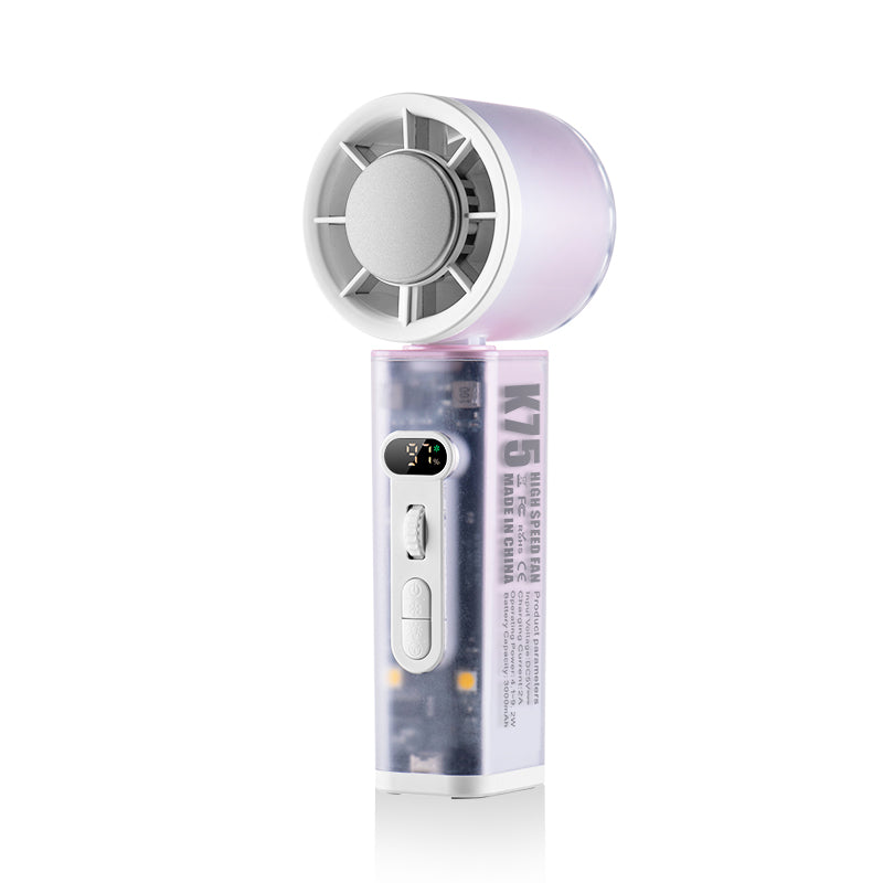 Oscillating Fan